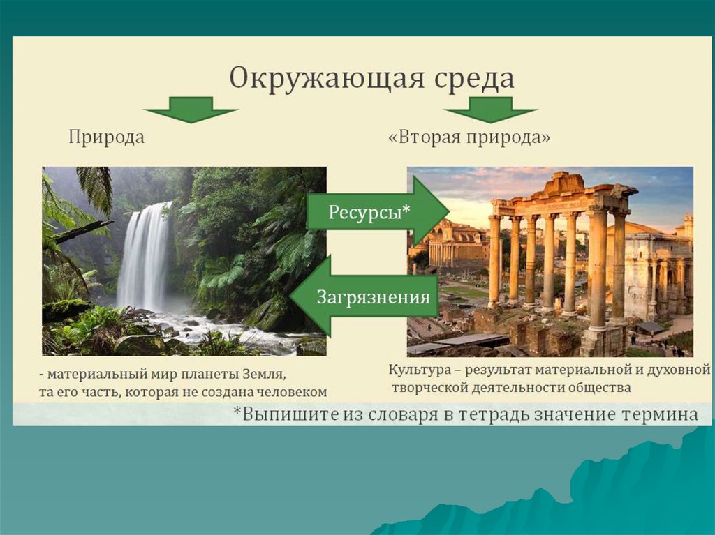 Человек в мире природы презентация по мхк 7 класс