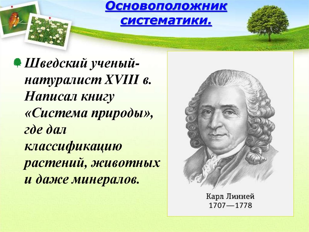 Ознакомление с принципами систематики