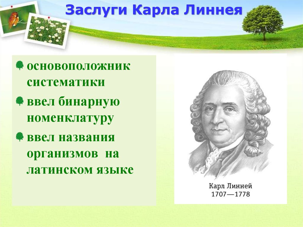 Принципы систематики организмов