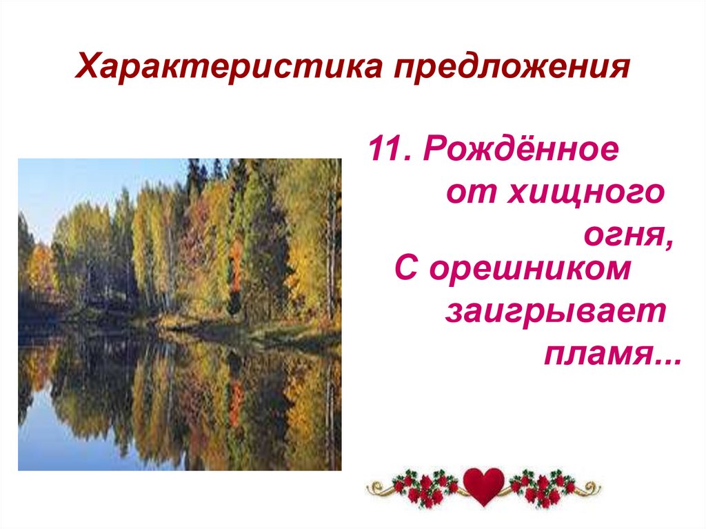 Характеристика предложения