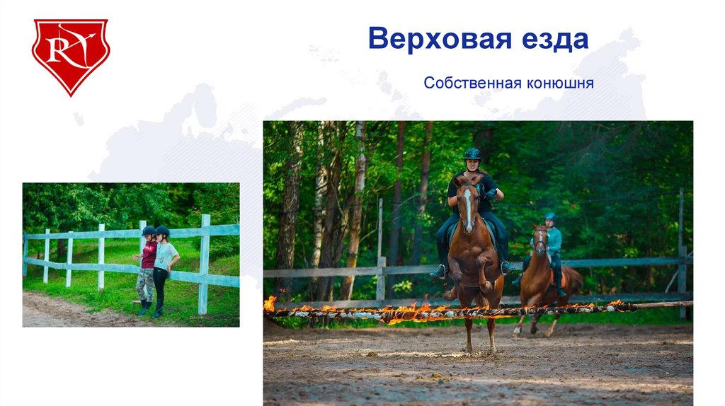 Верховая езда