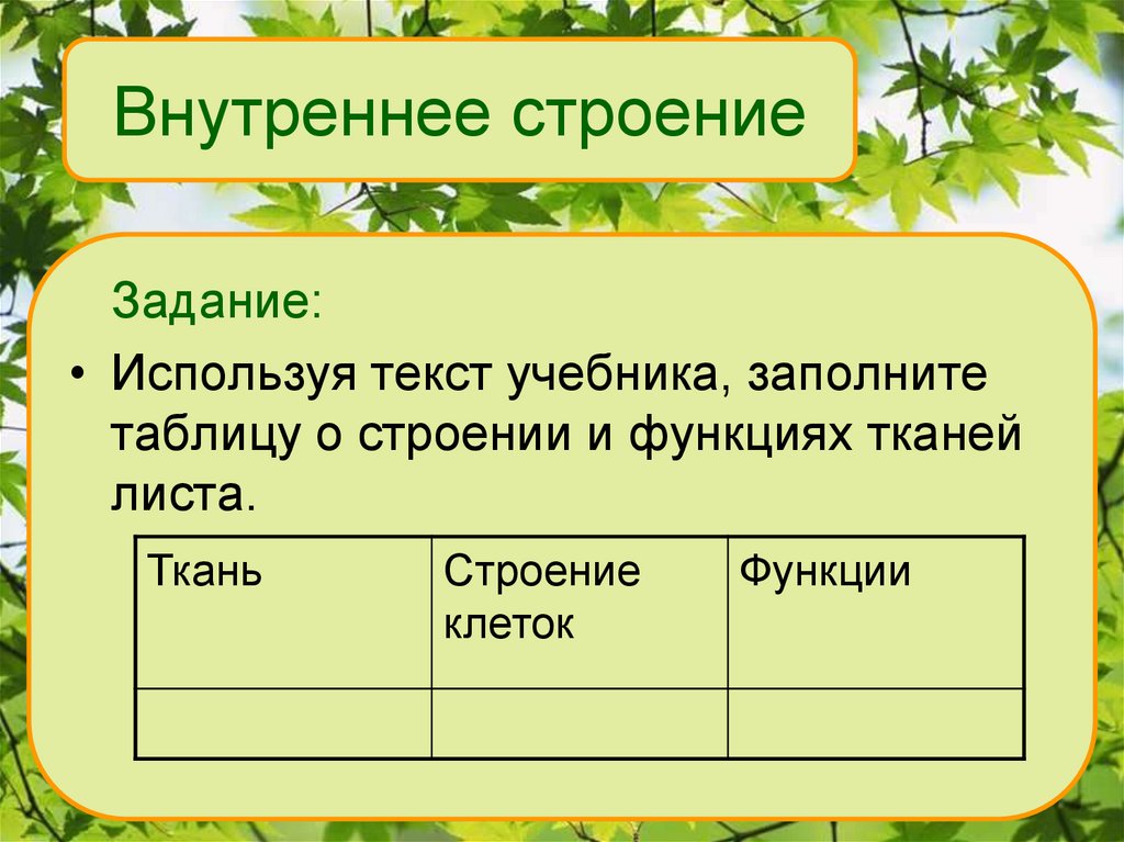 Строение и функции листьев. Внутреннее строение листа 6 класс таблица. Ткани листа строение и функции. Таблица о строении и функциях тканей листа. Внешнее строение листа таблица.