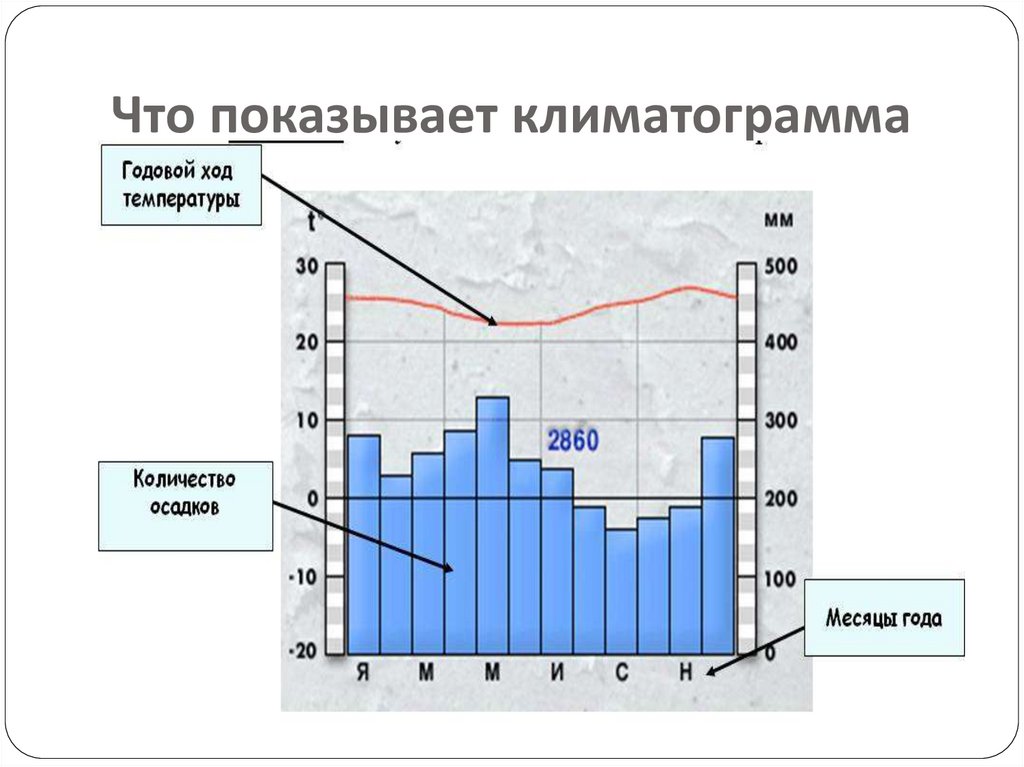 Тайга количество осадков в год. Климатограмма. Годовой ход температуры и осадков. География климатические диаграммы. Климатическая диаграмма г.Москва.
