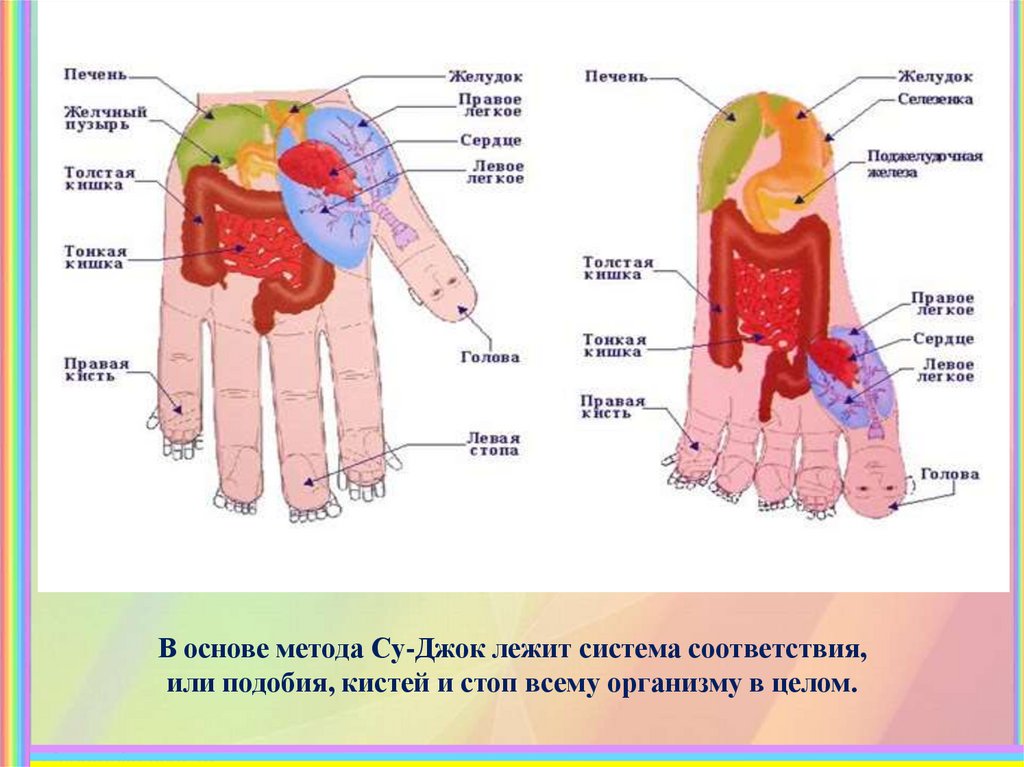 Точки су джок на ладони схема