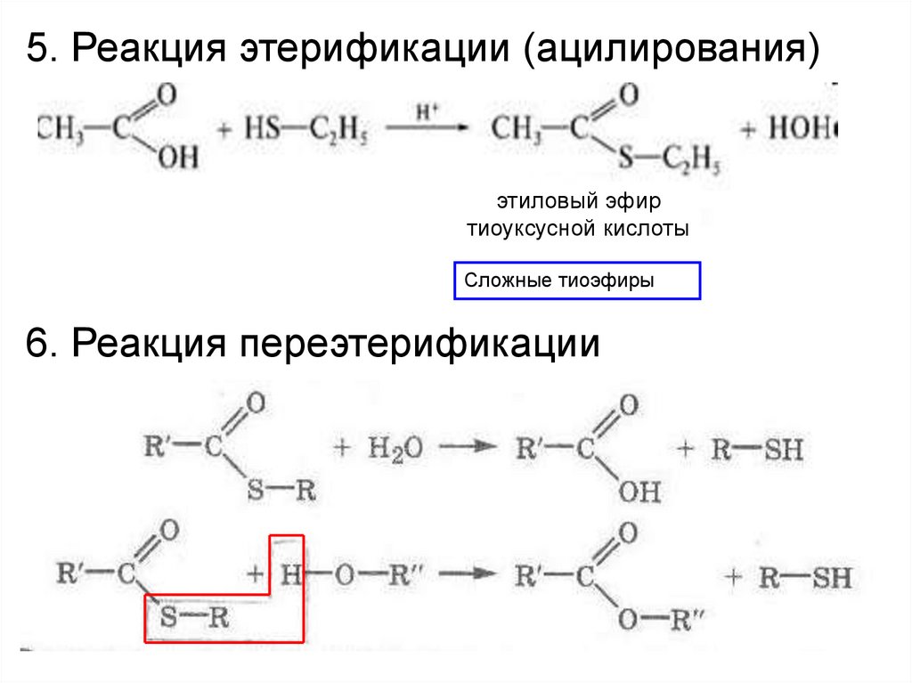 Пятерка реакции. Реакция переэтерификации сложных эфиров. Этерификация механизм реакции SN. Механизм этерификации уксусной кислоты. Механизм реакции этерификации карбоновых кислот.