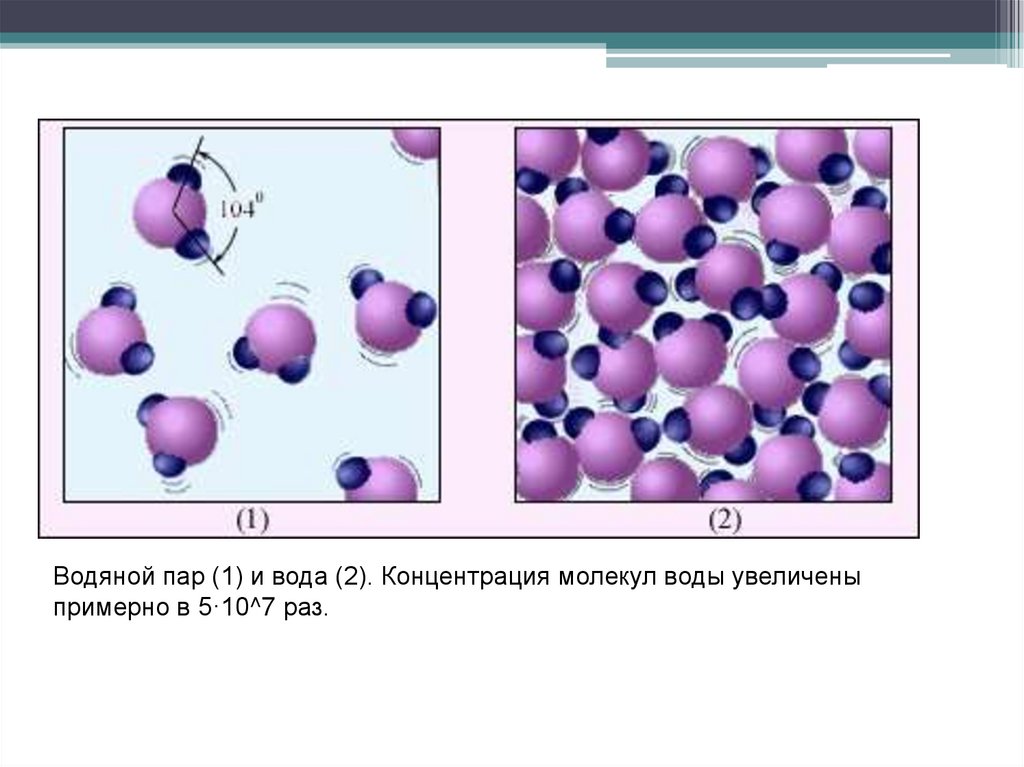 Молекулы жидкого тела