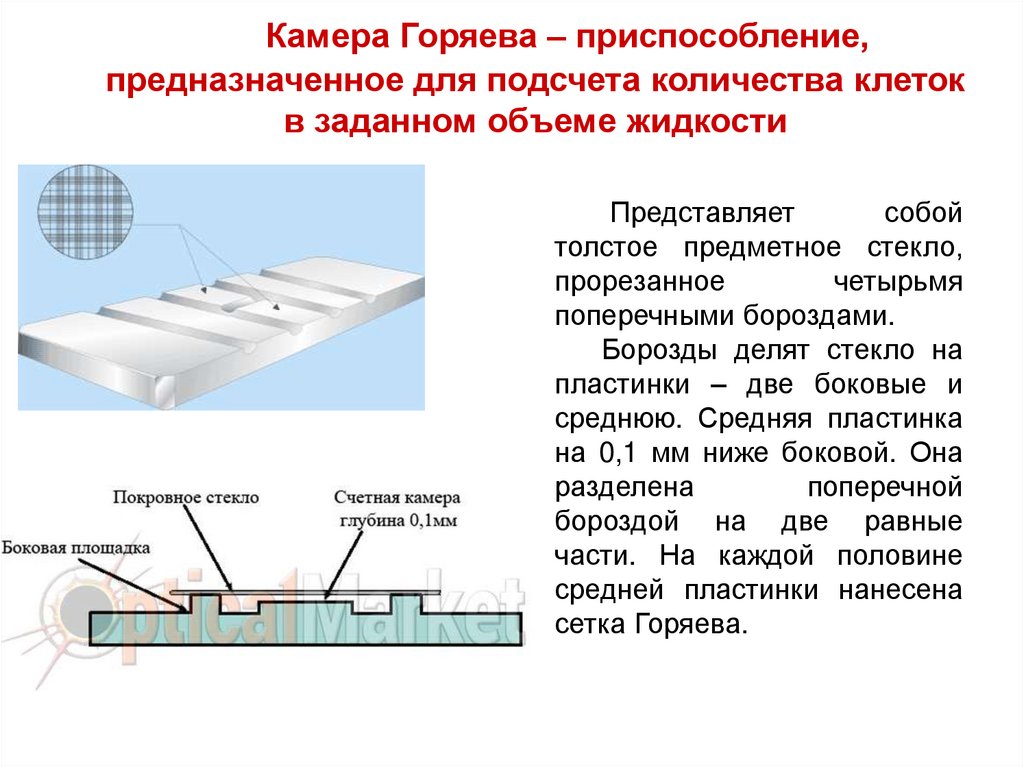 Камера горяева картинки