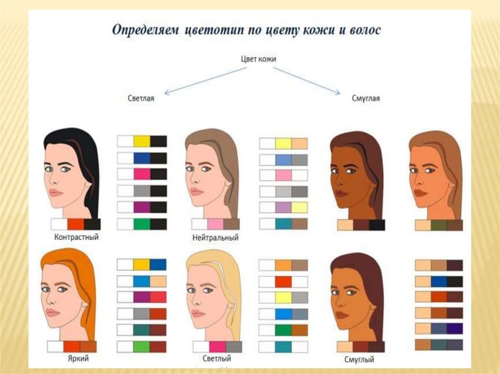 Определить цвет на рисунке. Перечислите цветовой Тип человека и их отличия.