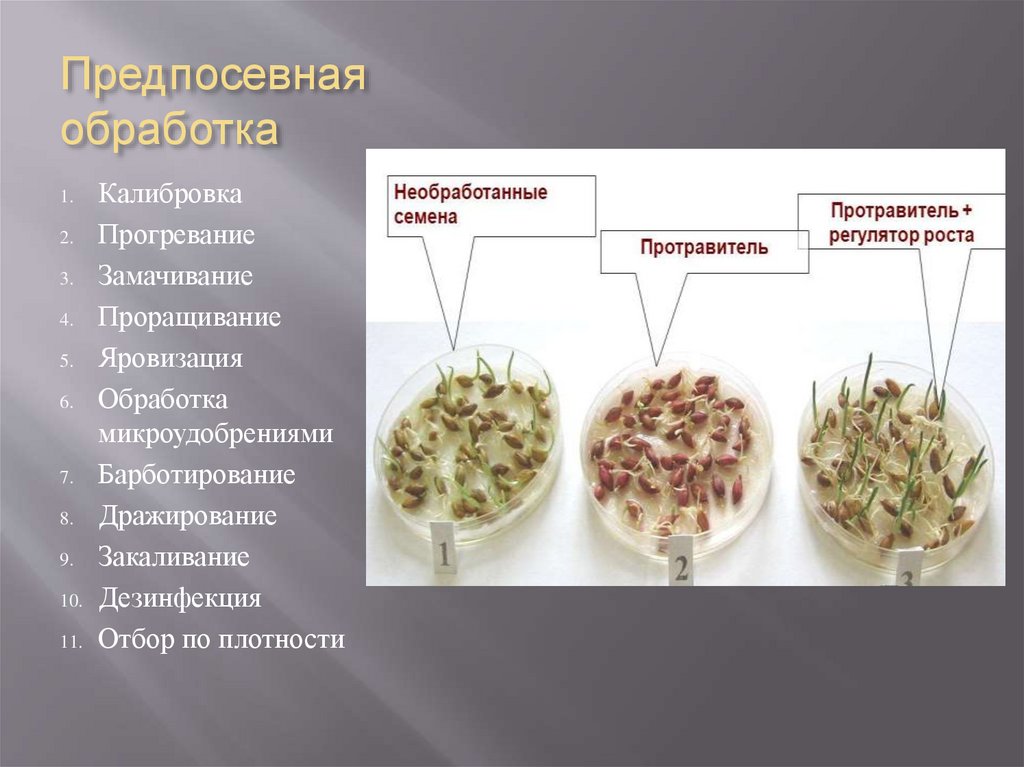 Семя мужчины. Откуда берутся семена. Барботирование семян перед посадкой таблица. Дражирование семян презентация. Откуда берутся семечки.