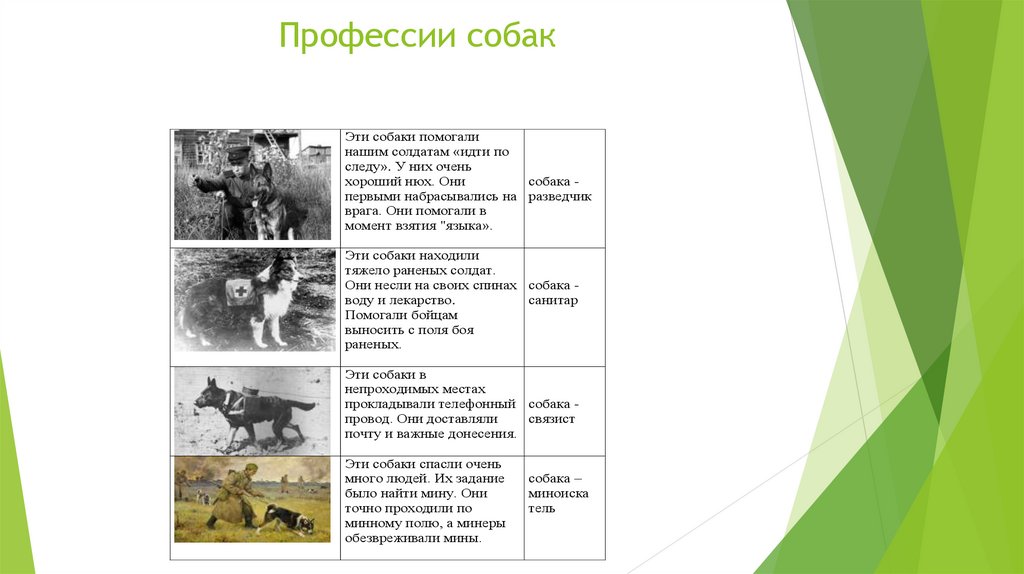 Профессии собак