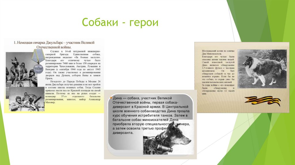 Собаки - герои