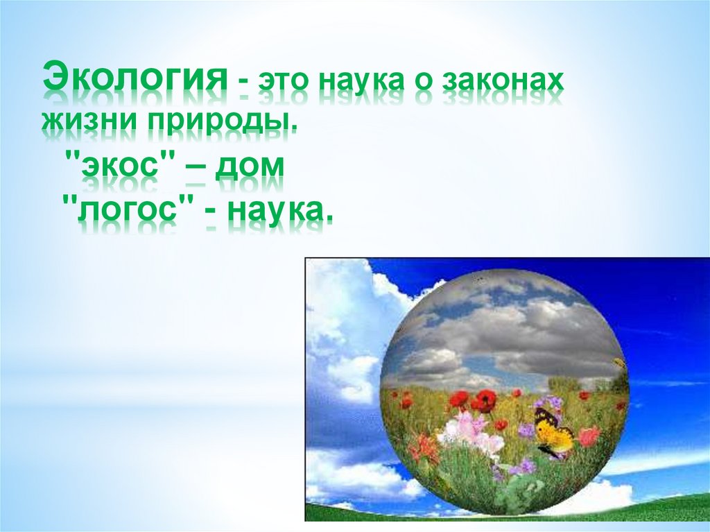 Экология это наука егэ ответы. Экология это наука. Окружающая среда. Экология наука о природе. Экология и мы.