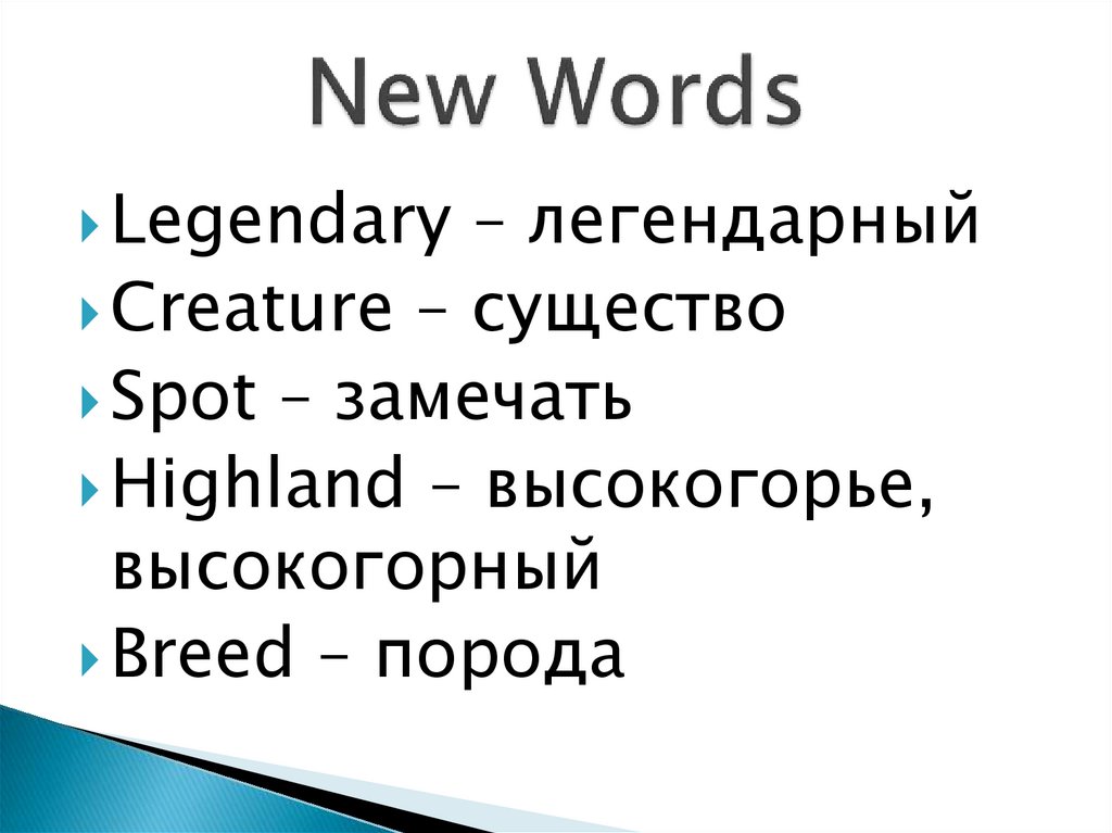 New Words