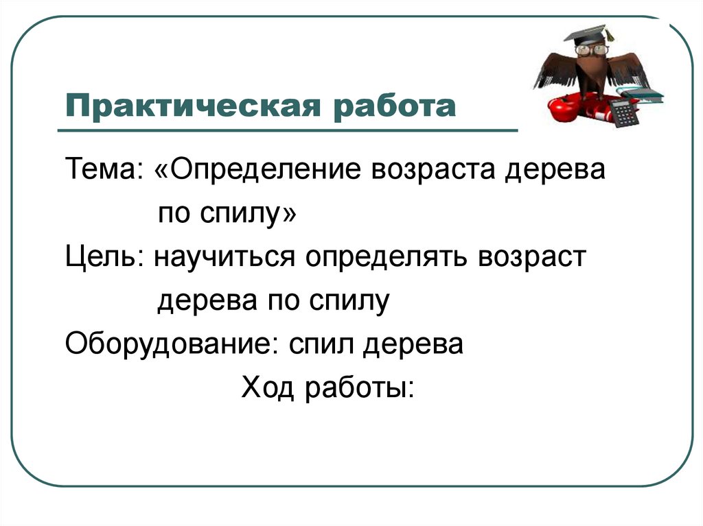 Практическая работа