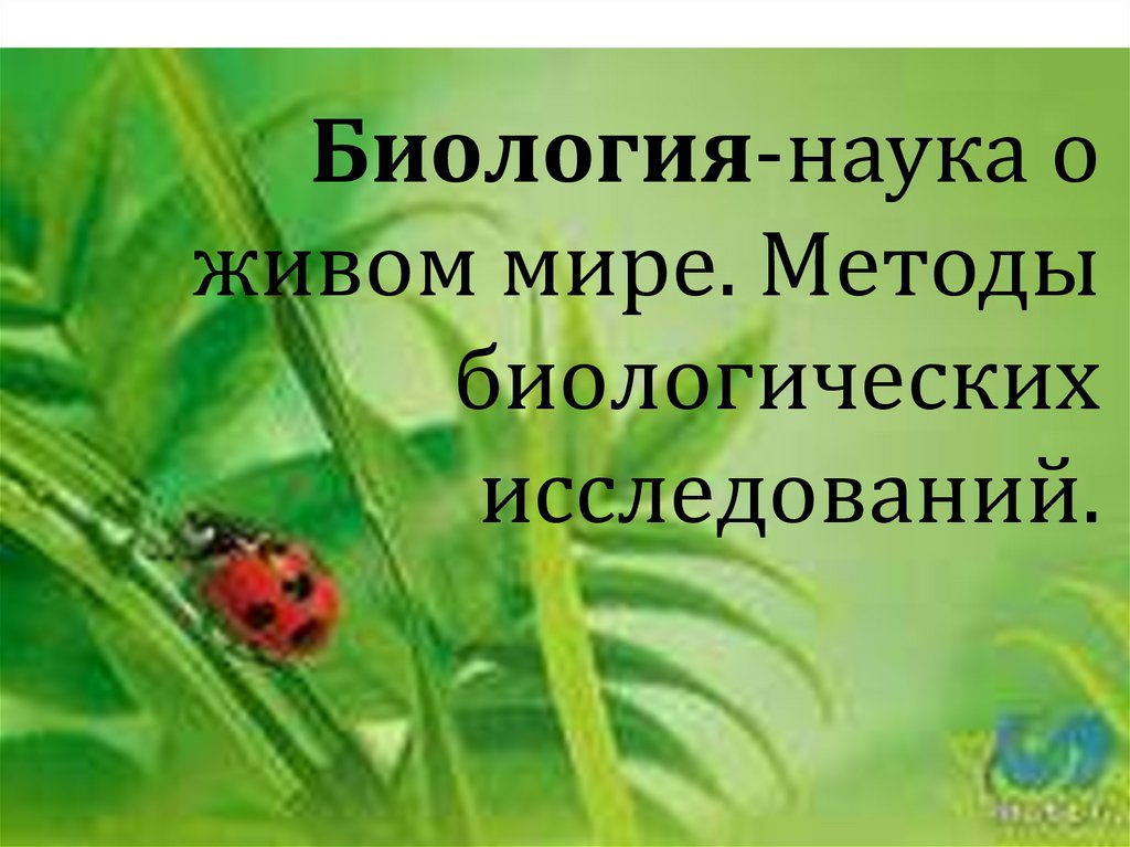 Наука о живом. Виды проведения экскурсии для взрослых. Аттестация в ДОУ по экологии и братья наши меньшие. Картинка песни насекомые малышки.