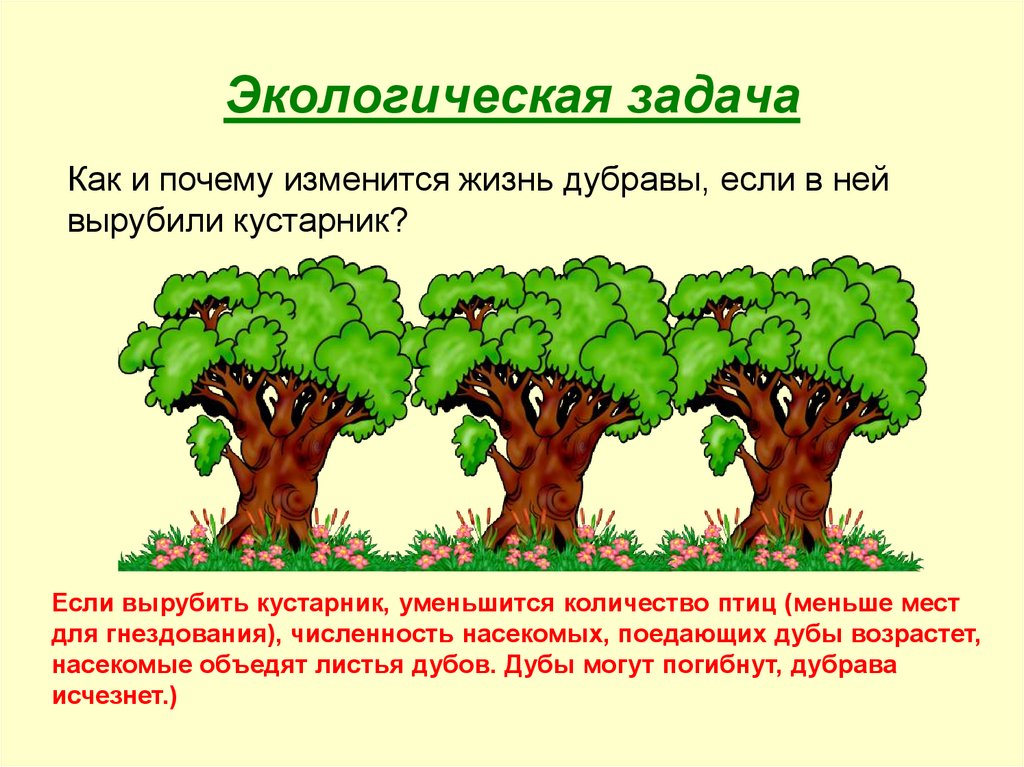Решить задачу в лесу на разных кустах. Задачи по экологии. Экологические задачи. Экологические задачки. Решение экологических задач.