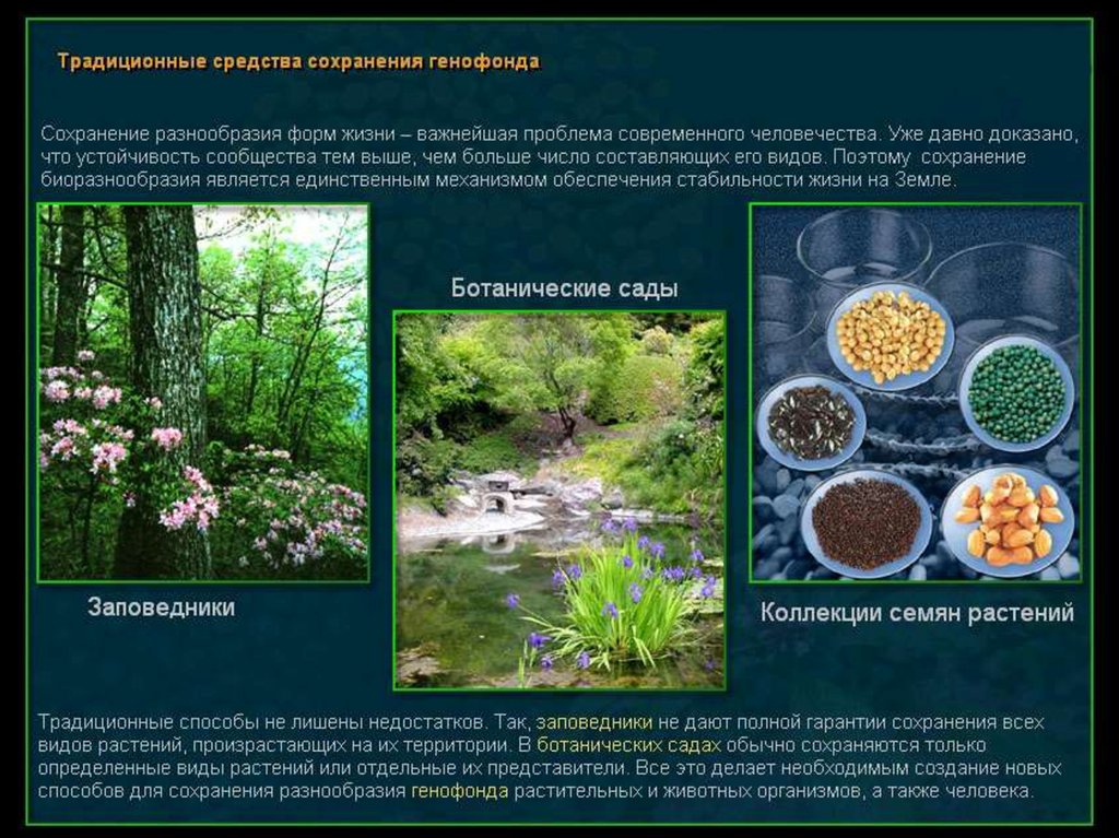 Генофонд и селекция. Традиционные средства сохранения генофонда. Задачи сохранения генофонда планеты. Способы сохранения растений. Методы сохранения генофонда животных.