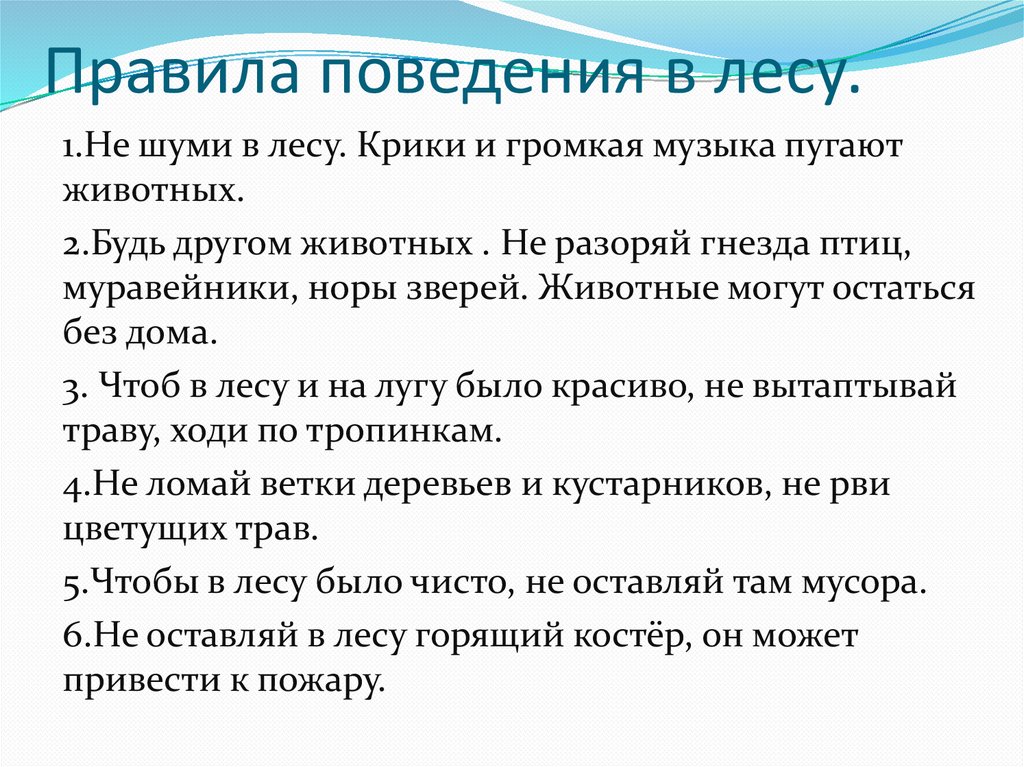 Правила поведения в лесу.