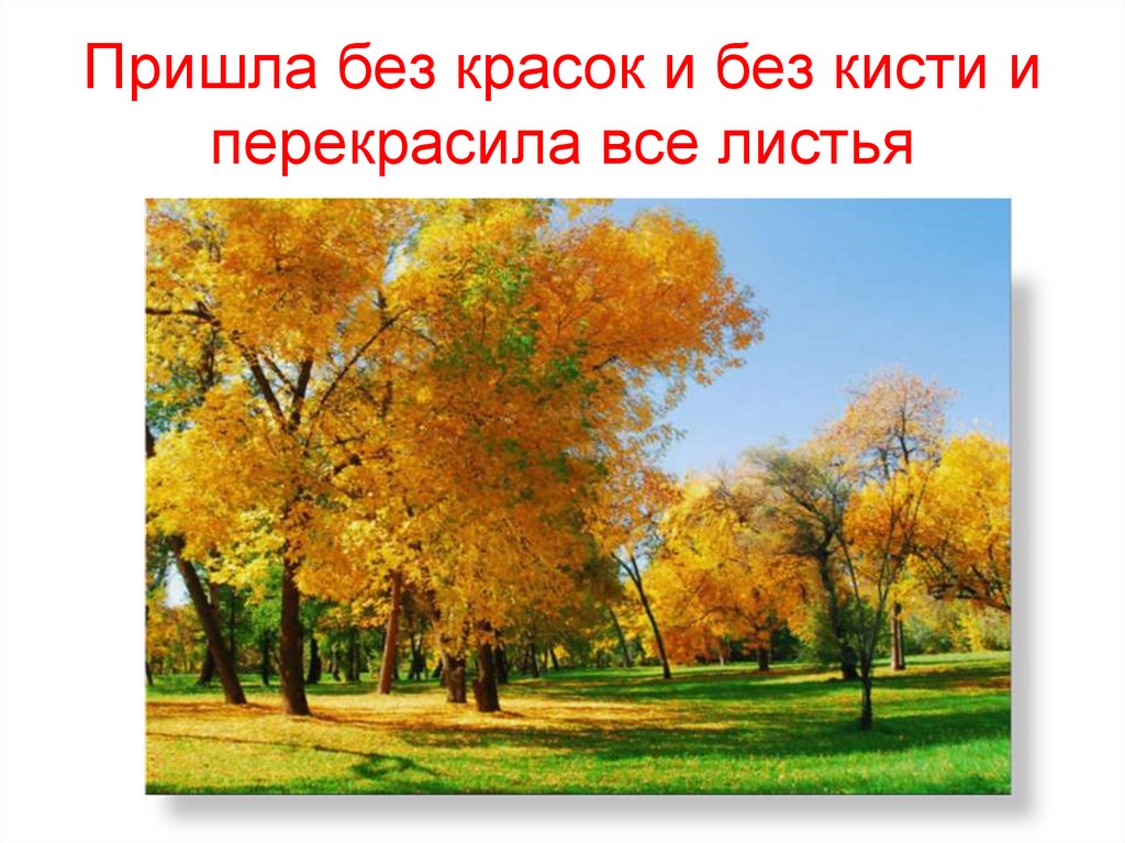 Пришла без красок и без кисти и перекрасила все листья