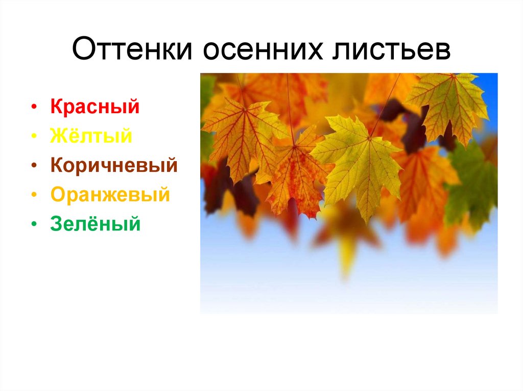 Оттенки осенних листьев