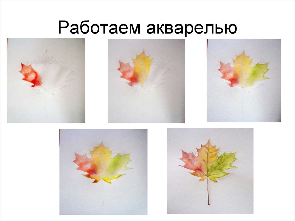 Работаем акварелью