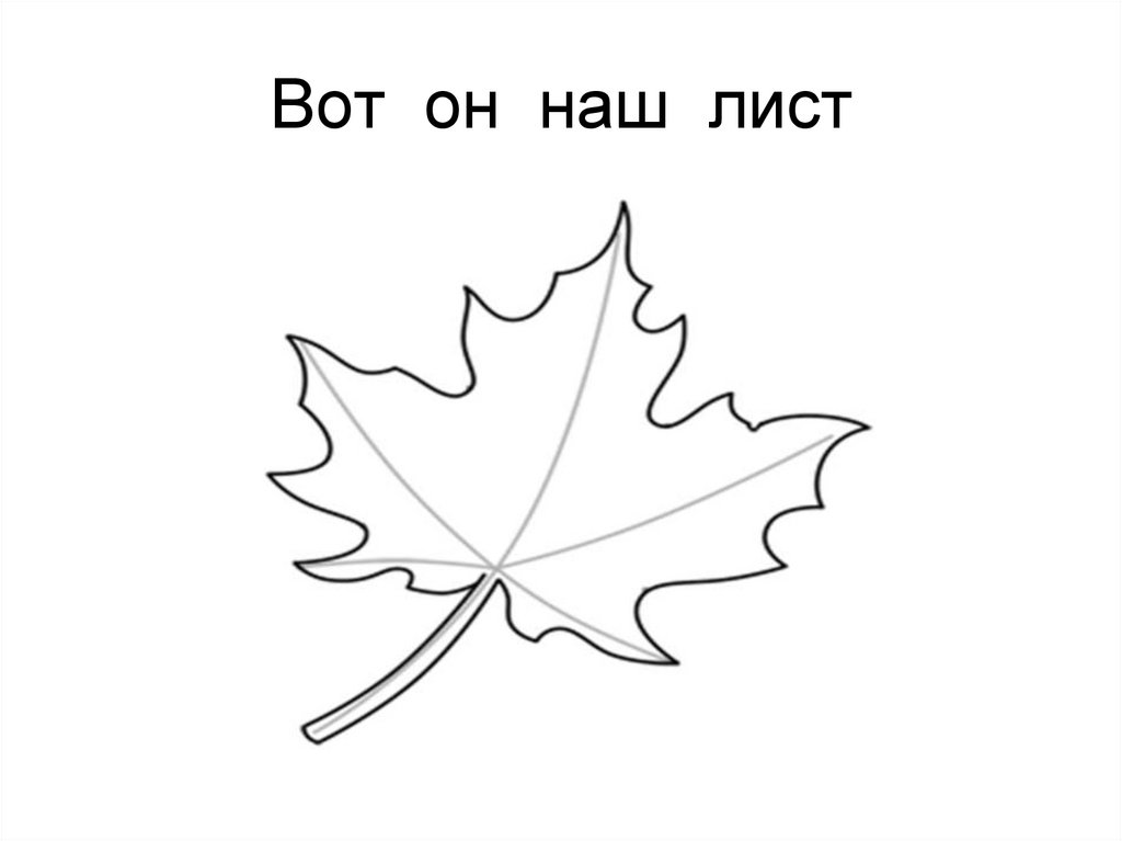 Вот он наш лист