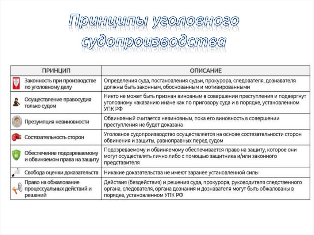 Принципы уголовного судопроизводства