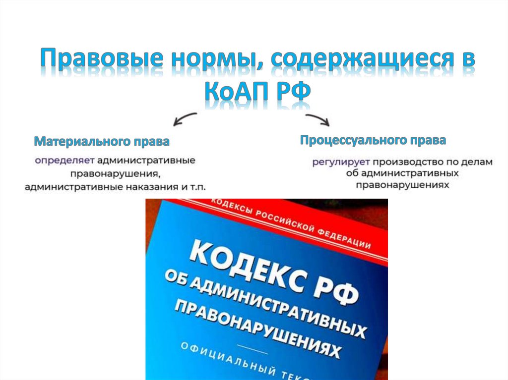 Правовые нормы, содержащиеся в КоАП РФ