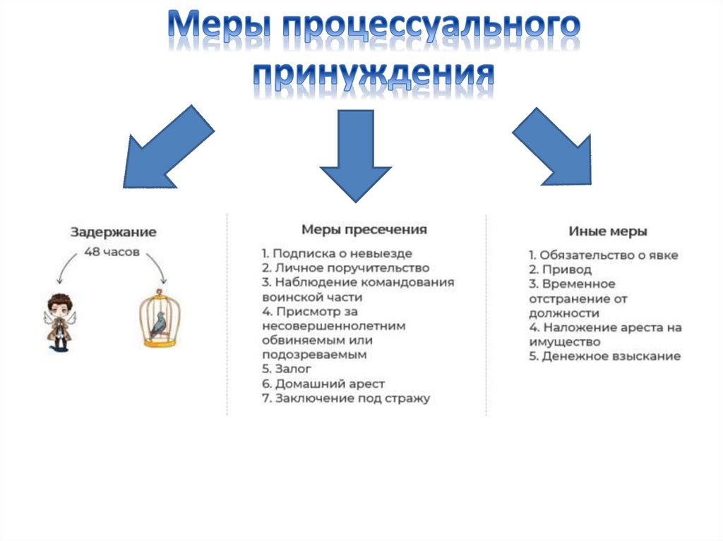 Мера процессуального принуждения обязательство о явке. Привод мера процессуального принуждения. Меры процессуального принуждения ЕГЭ общество. Меры пресечения в гражданском судопроизводстве. Меры процессуального наблюдения ЕГЭ.