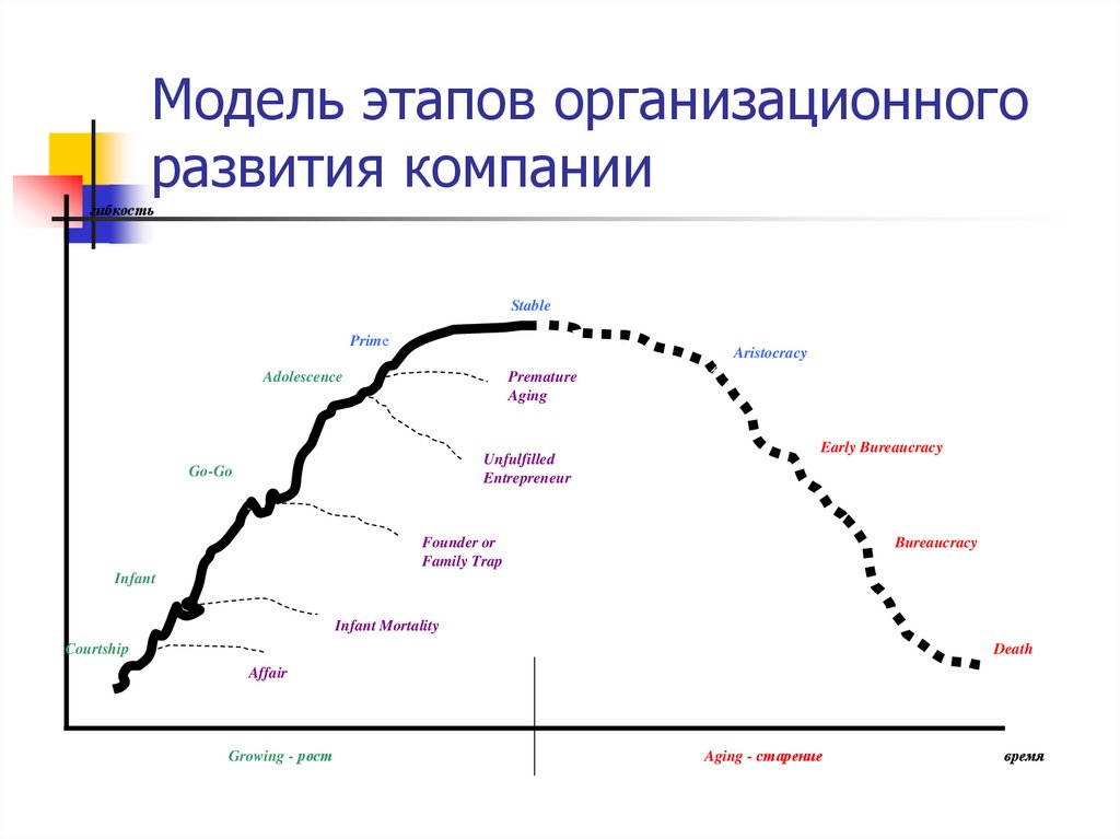Модель этапов организационного развития компании
