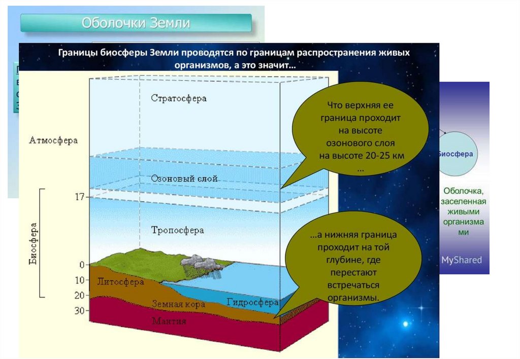 Биосфера живая оболочка земли 6 класс презентация полярная звезда