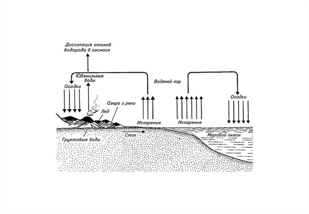 Биогеохимический цикл воды схема