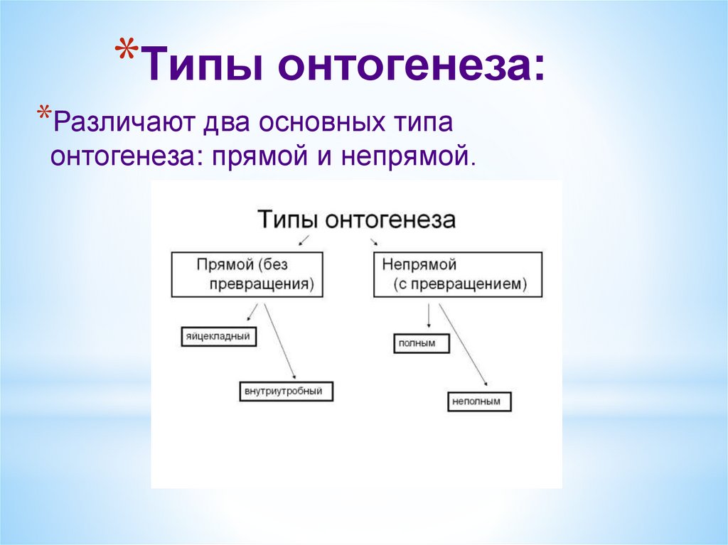 Прямое и непрямое развитие организмов презентация