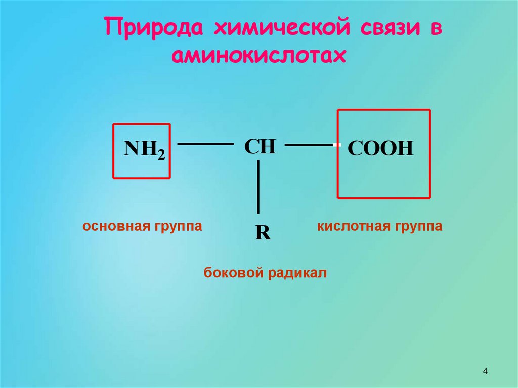 Природа химической связи в аминокислотах