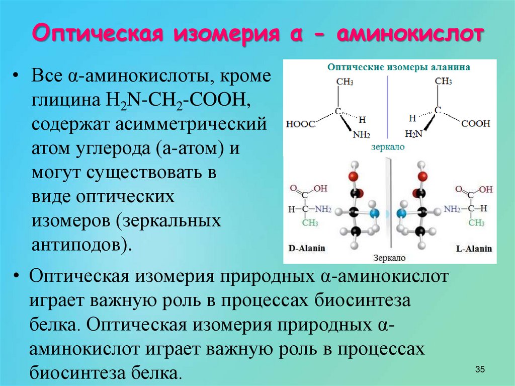 Оптическая изомерия α - аминокислот