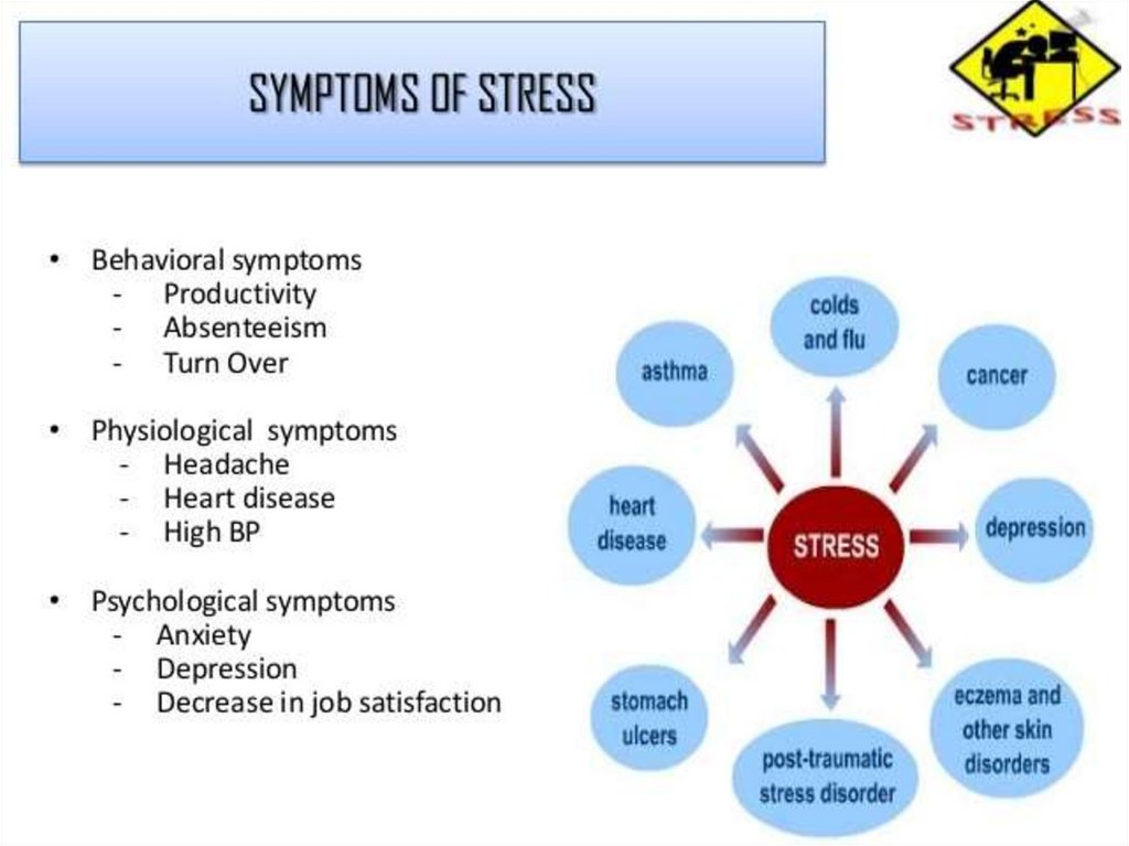 Stress free spotlight 7 презентация