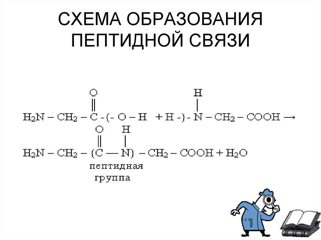 Схема образования n2