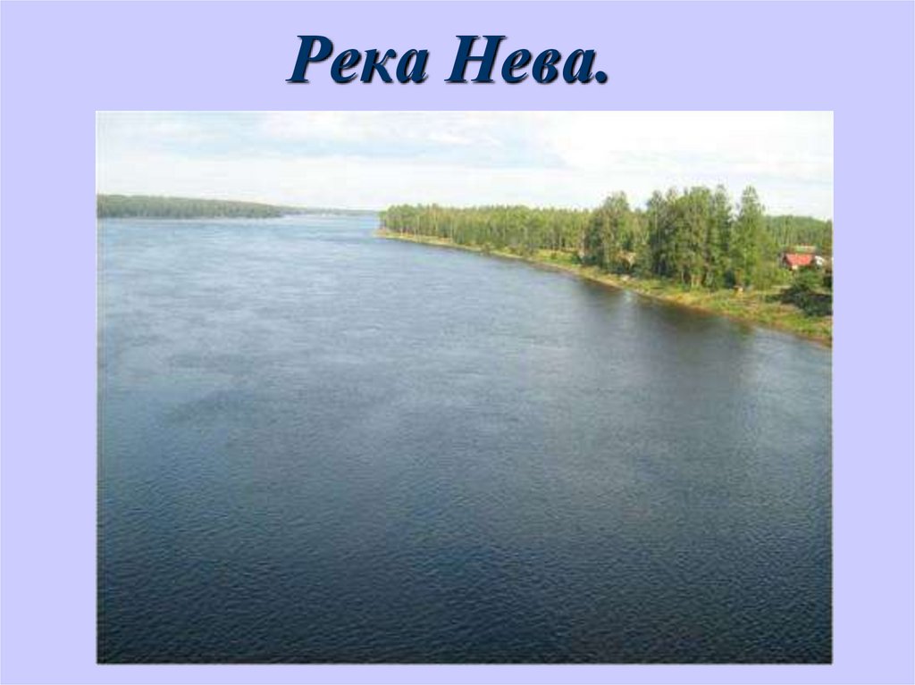 Река Нева.