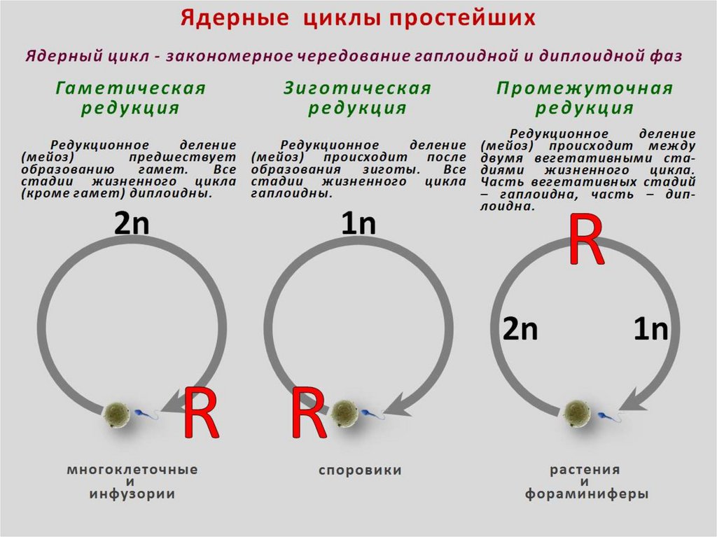 Простые параметры