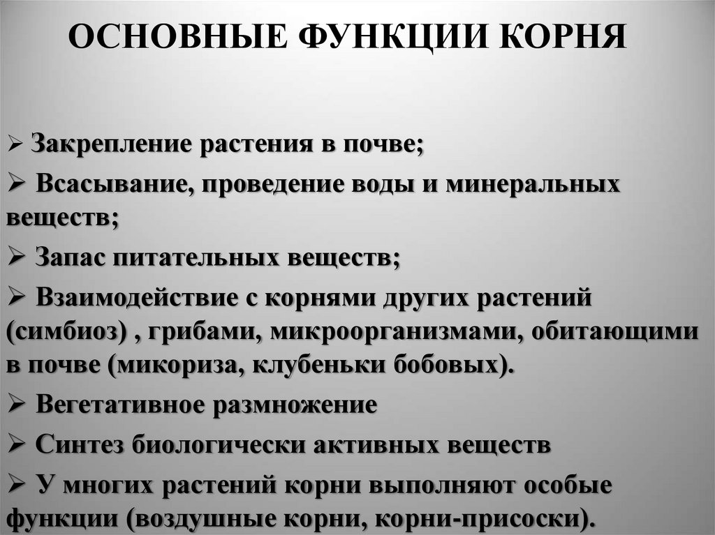 Основные функции корня