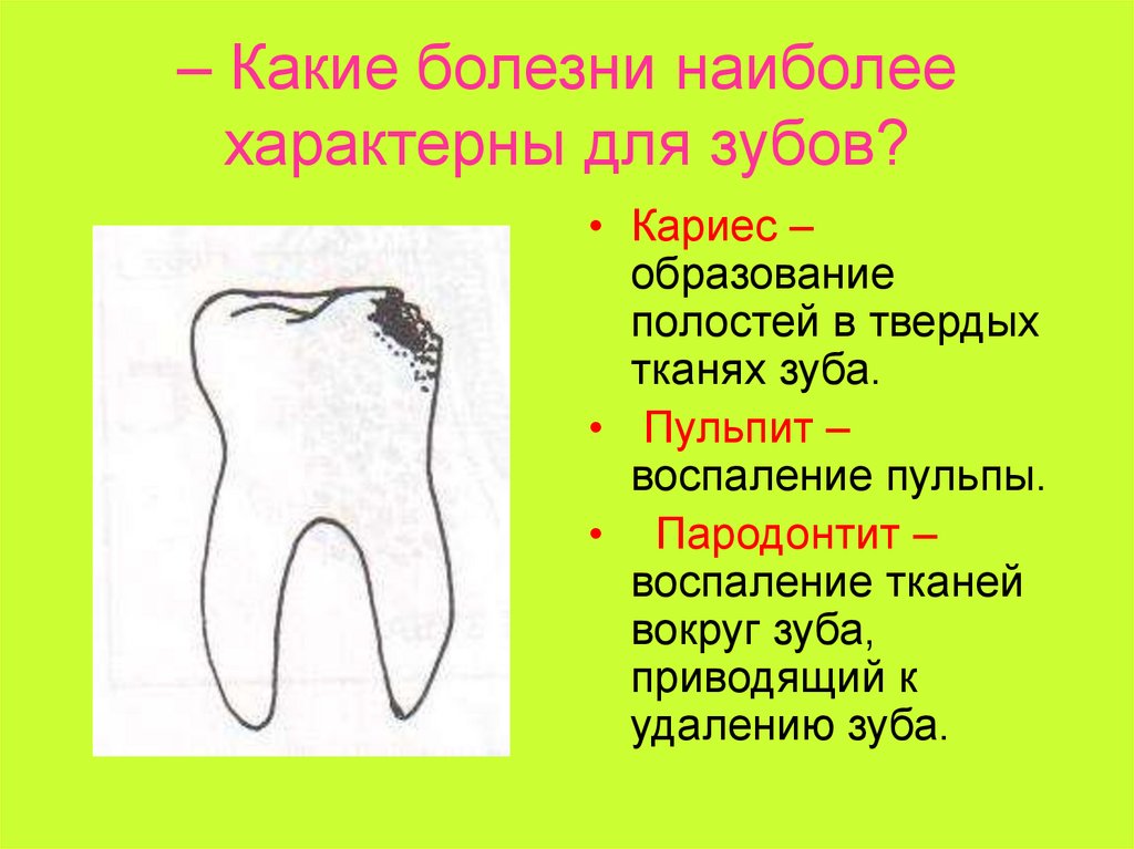 5 признаков зубов