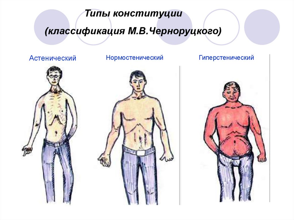 Конституция телосложения человека. Конституция тела астеник. Черноруцкий конституциональные типы. Конституционный Тип нормостенический. Конституциональные типы по м.в.Черноруцкому.