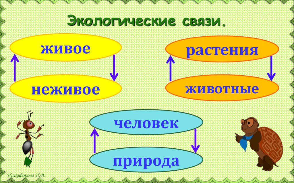 Что такое экологические связи