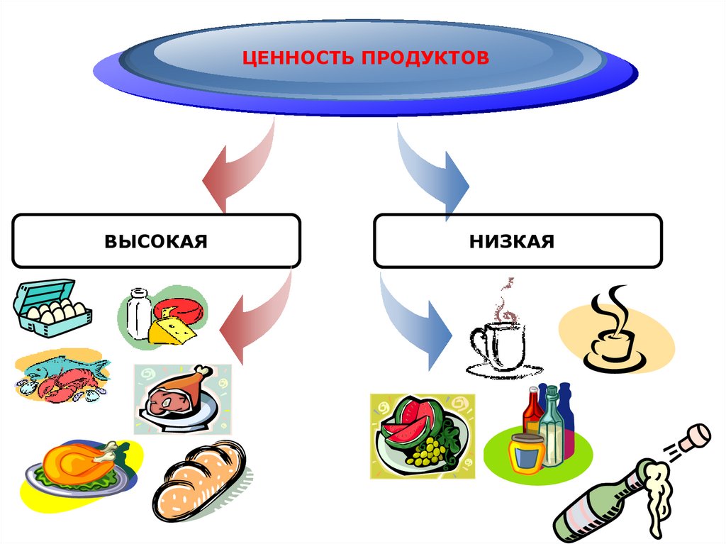 Питание 8 класс