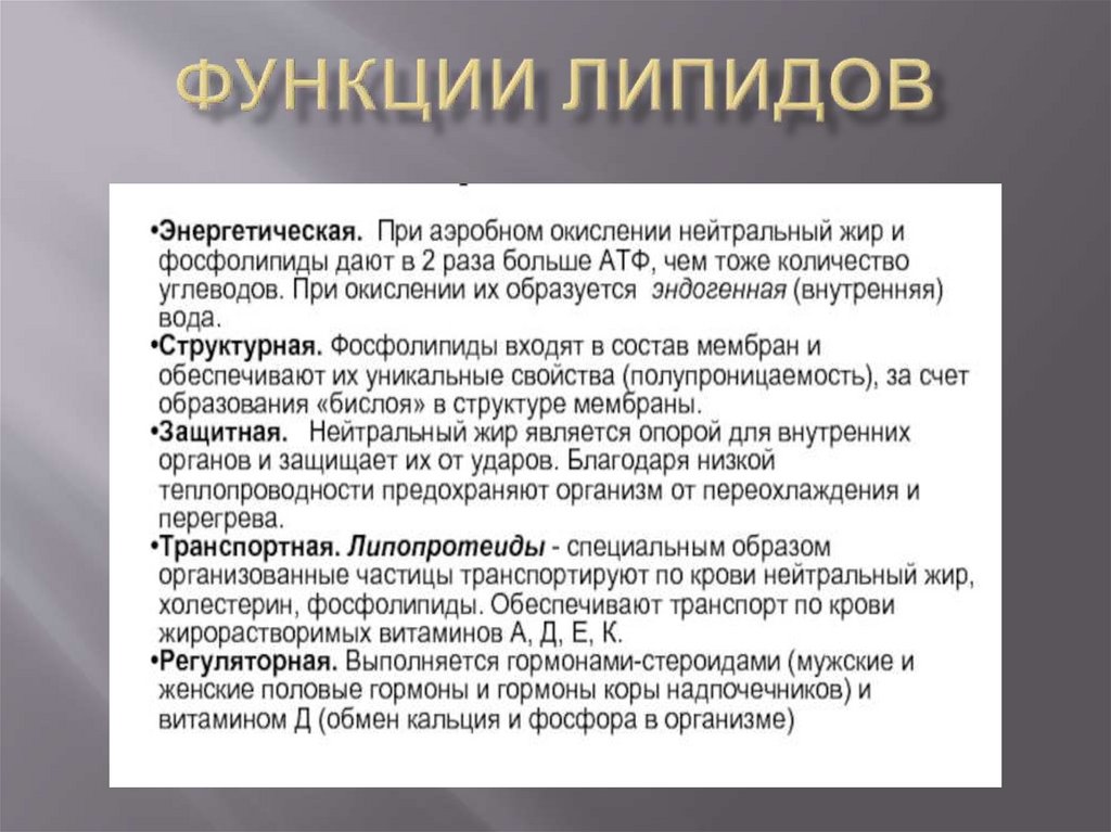 Функции Липидов