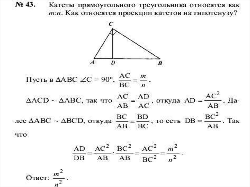 Подобие прямоугольных