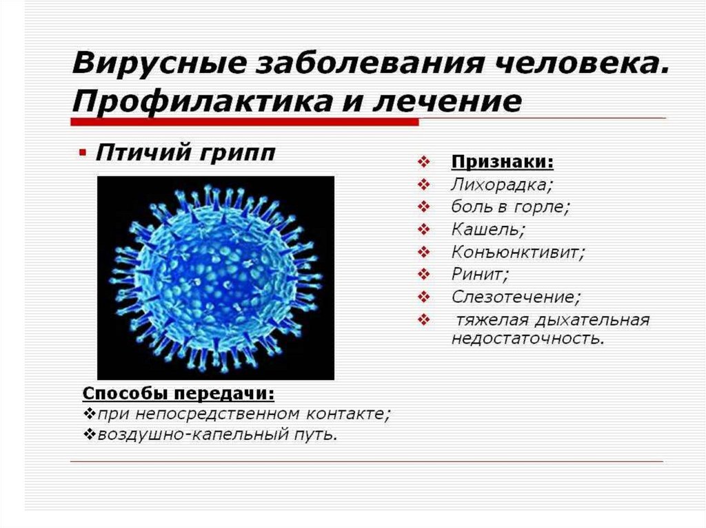 Описать вирусные заболевания