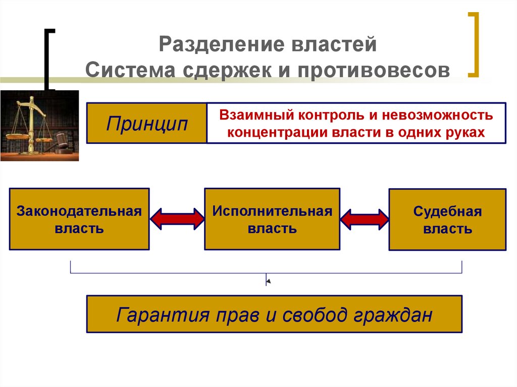 Законодательная власть основывается на принципах конституции и верховенства права план текста