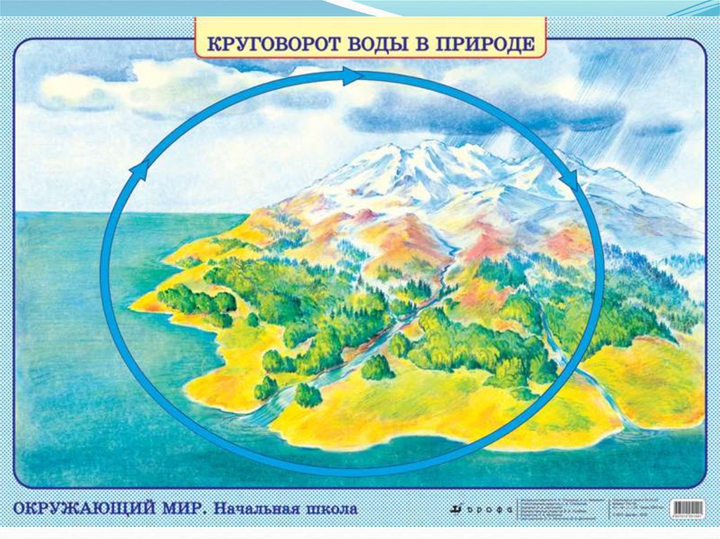 Окружающий мир 3 класс плешаков круговорот. Наглядные пособия по окружающему миру. Наглядные пособия для окружающего мира начальная школа. Наглядность окружающий мир. Наглядные пособия для начальной школы окружающий мир.