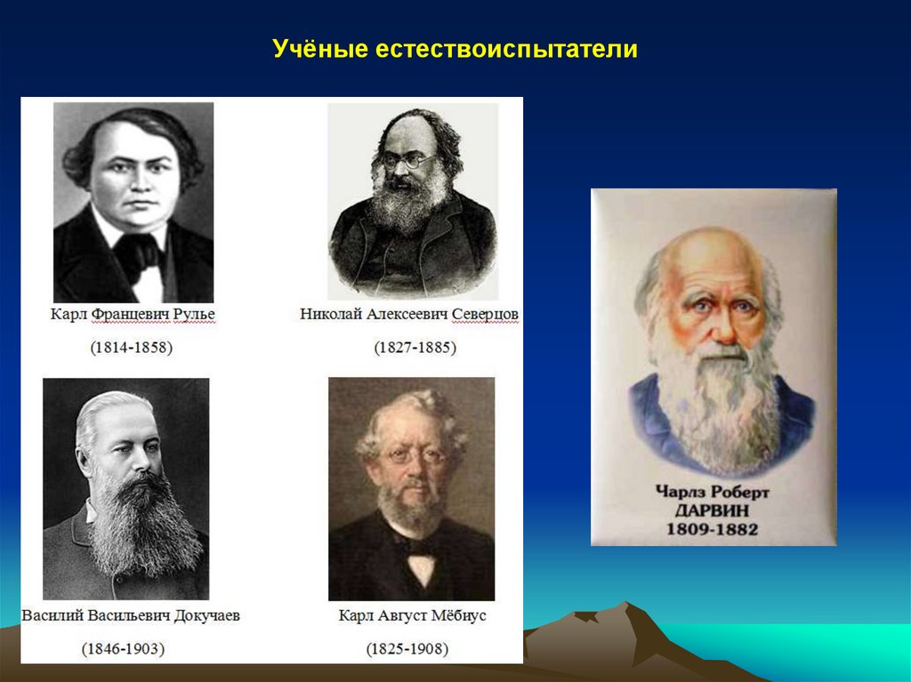 Ученые экологии. Ученые естествоиспытатели. Имена великих естествоиспытателей. Русские ученые естествоиспытатели. Ученые экологи и их открытия.